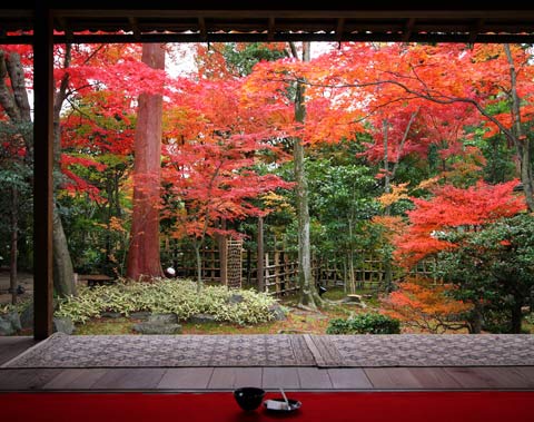 妙心寺