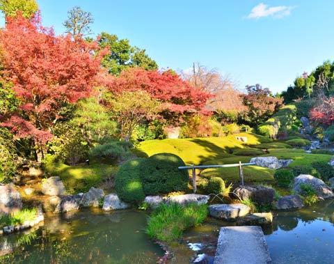 妙心寺