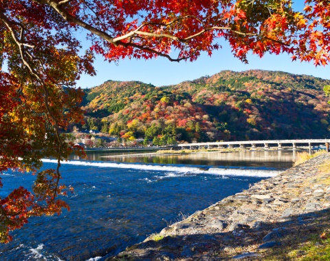 渡月橋