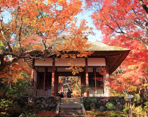 常寂光寺