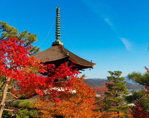常寂光寺