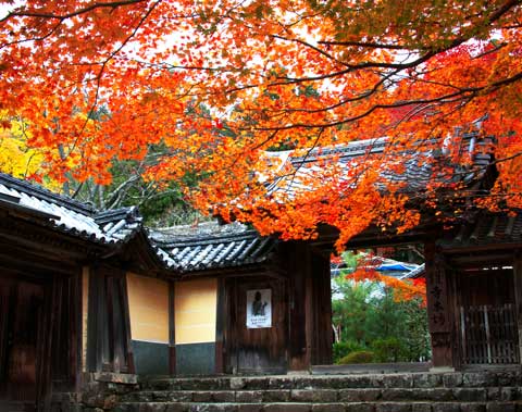 高雄山神護寺