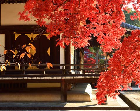 仁和寺