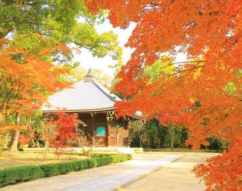 仁和寺