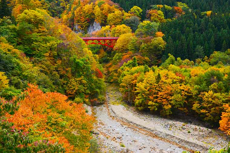 長野県の紅葉名所21選 ドライブやロープウェイでの絶景も 楽天トラベル