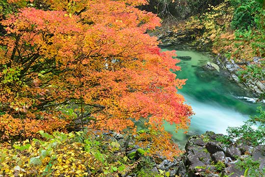 阿寺(あてら)渓谷