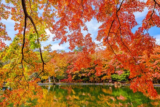 軽井沢 雲場池