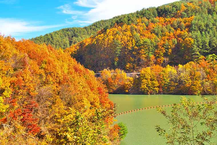 長野県の紅葉名所21選 ドライブやロープウェイでの絶景も 楽天トラベル