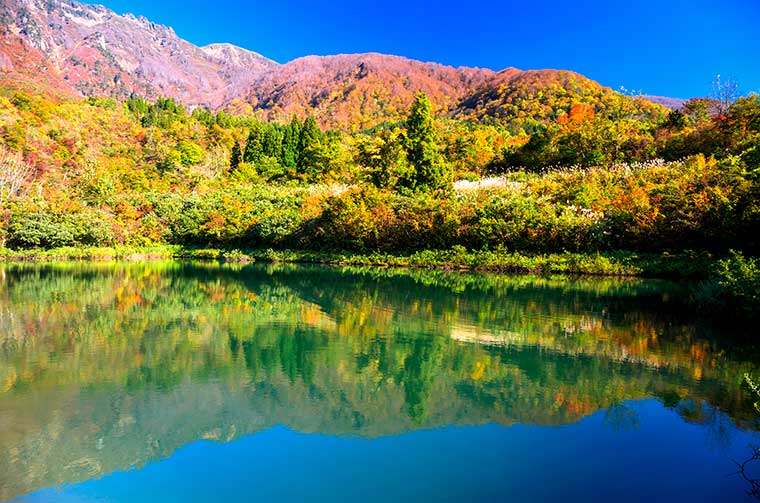 八海山