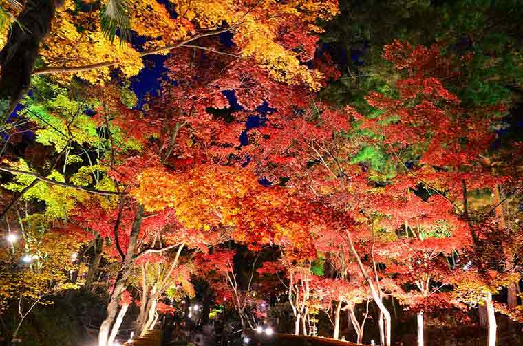 松雲山荘