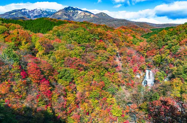霧降高原