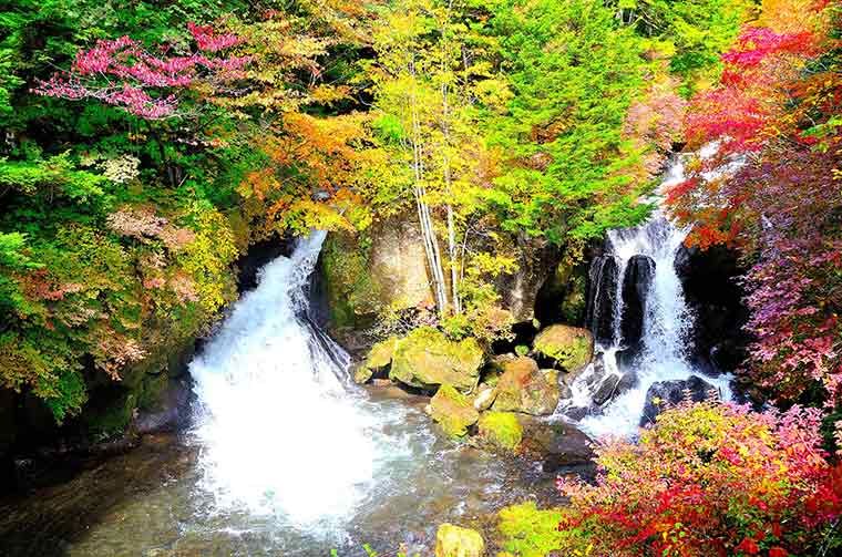 日光のおすすめ紅葉名所選 年見頃やライトアップ情報も 楽天トラベル