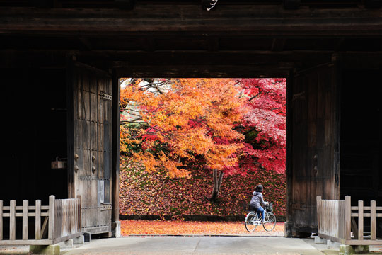 弘前公園