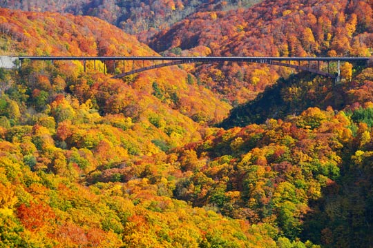 東北の紅葉名所24選 見頃時期や年ライトアップ情報も 楽天トラベル