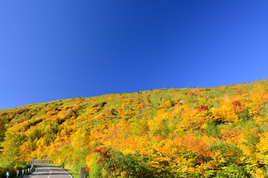 八幡平