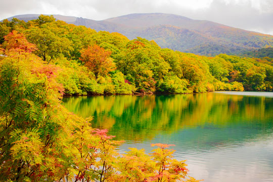 栗駒山