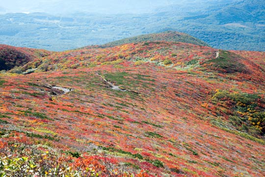 栗駒山