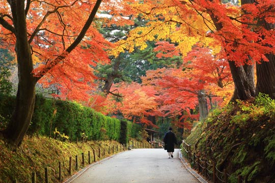 中尊寺