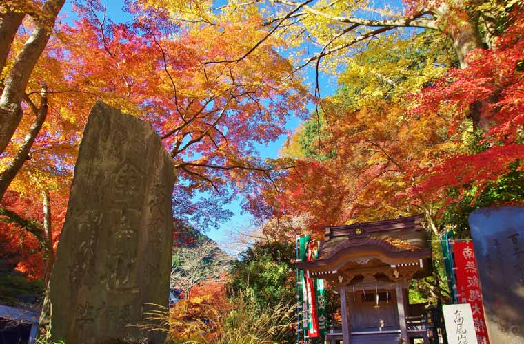 高尾山
