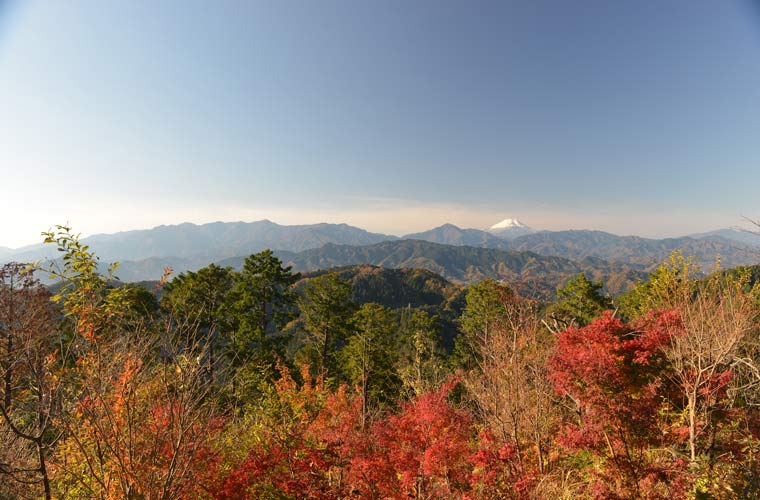 高尾山