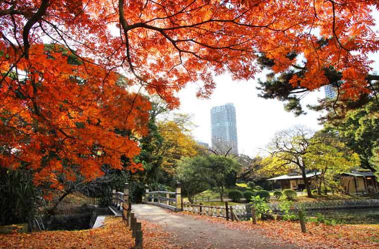 浜離宮恩賜庭園