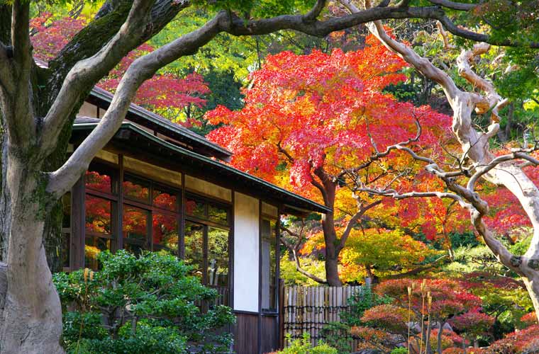 小石川後楽園