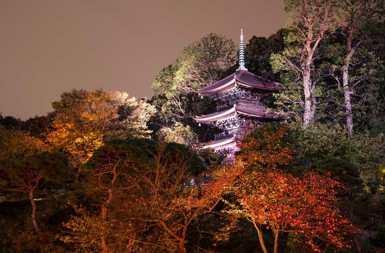 目白庭園