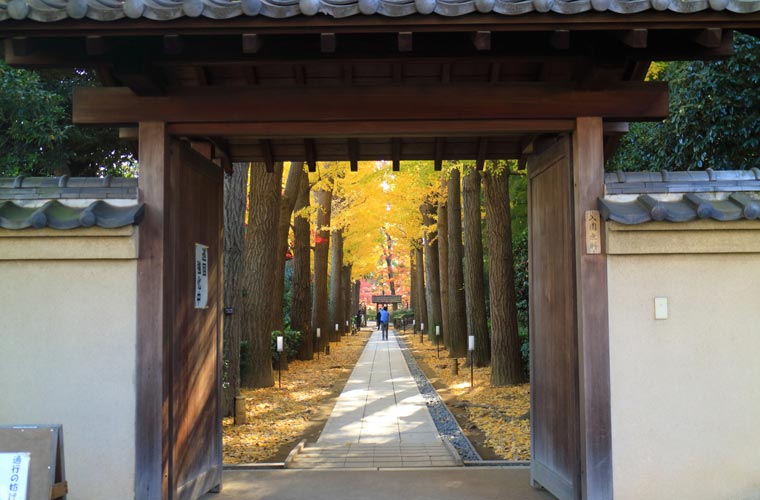 大田黒公園