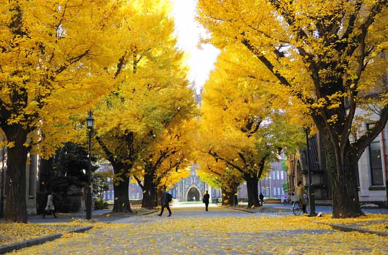 東京大学