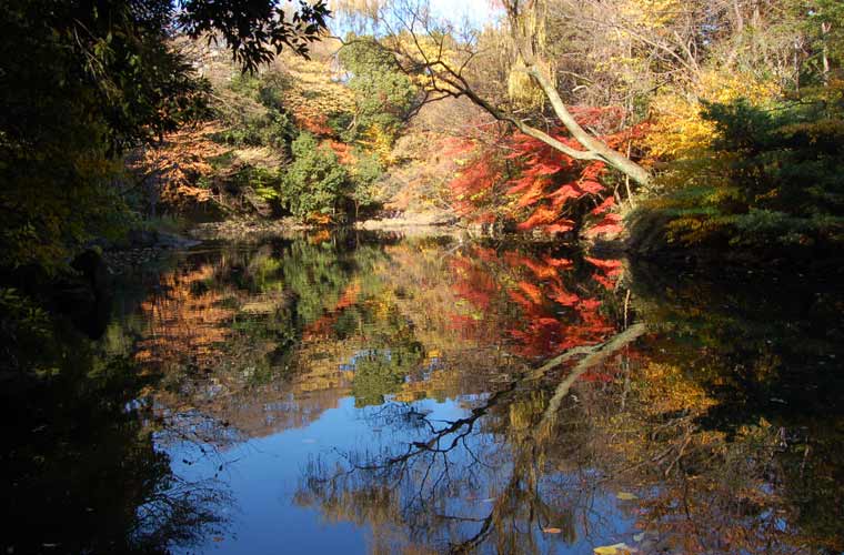 東京大学