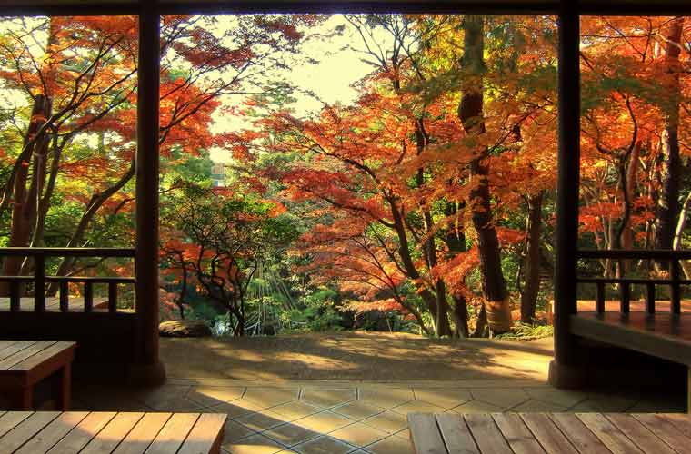 殿ヶ谷戸庭園
