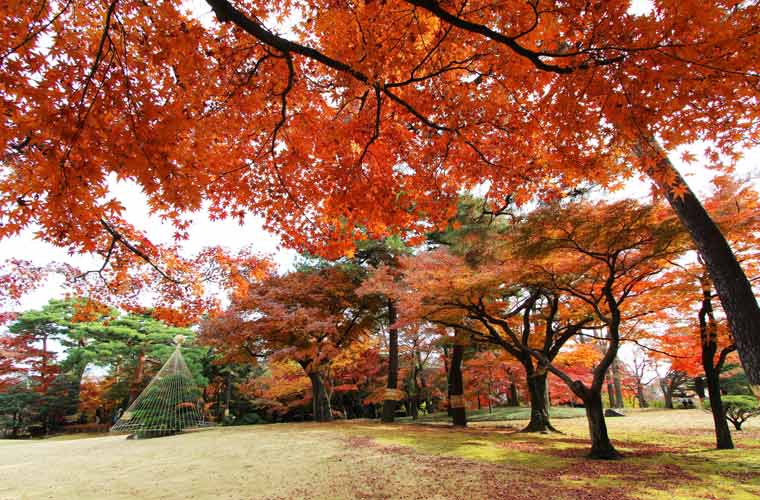 殿ヶ谷戸庭園