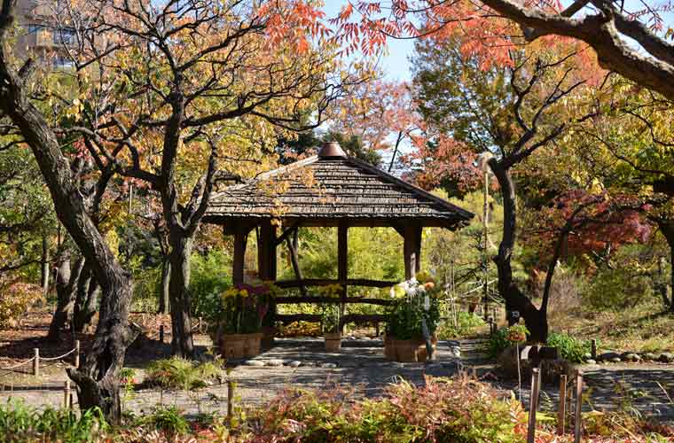 向島百花園