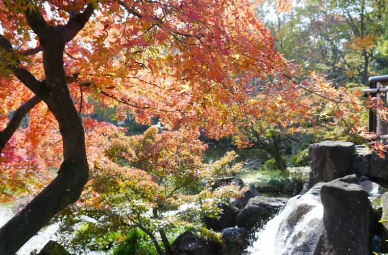 府中の森公園