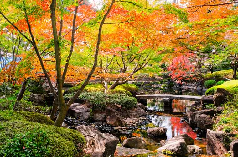 大田黒公園