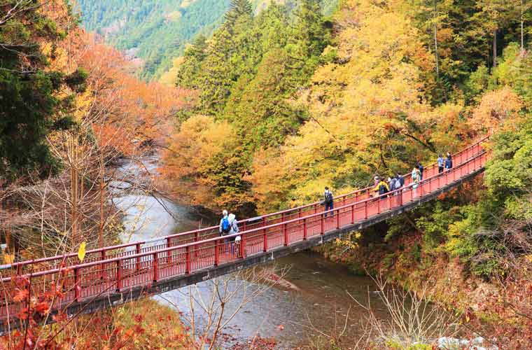 秋川渓谷