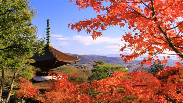 常寂光寺