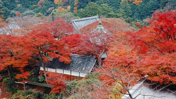 善峯寺