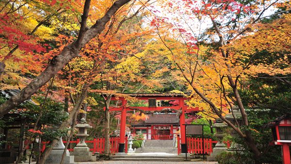 大原野神社
