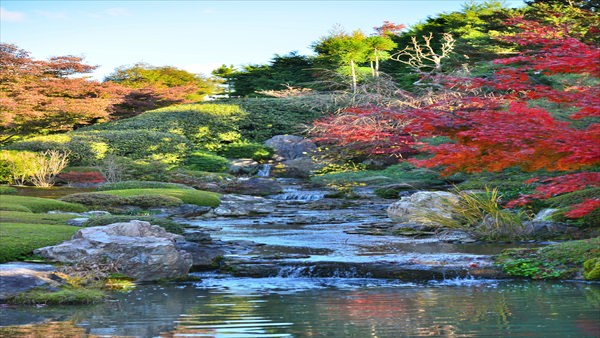 妙心寺