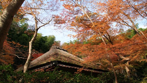祗王寺