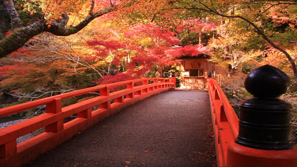 西明寺