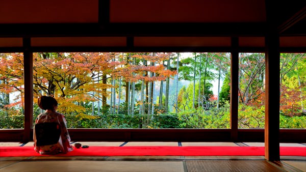 宝泉院