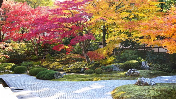 泉涌寺 御座所庭園前庭
