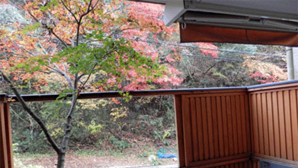 北白川天然ラジウム温泉周辺