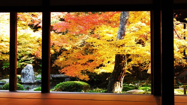 蓮華寺
