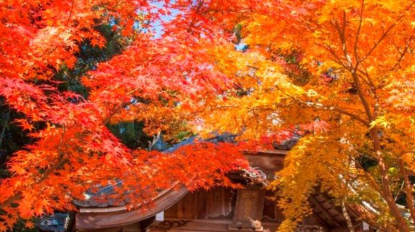 赤山禅院