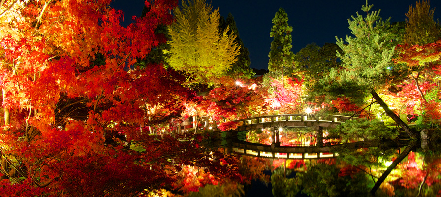 永観堂禅林寺