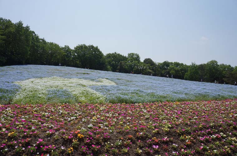 国営武蔵丘陵森林公園