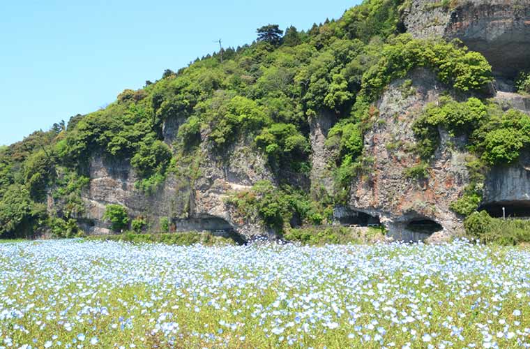 青の洞門